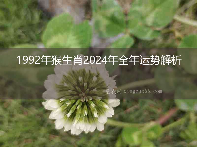 1992年猴生肖2024年全年運勢解析