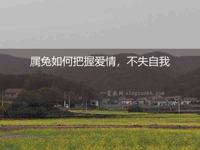 屬兔如何把握愛情，不失自我