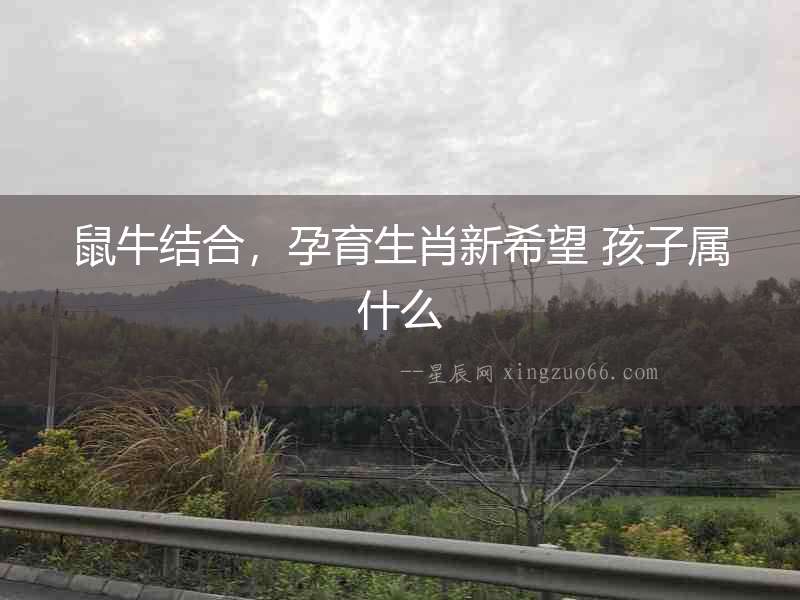 鼠牛結合，孕育生肖新希望 孩子屬什么