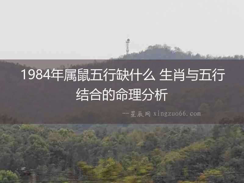 1984年屬鼠五行缺什么 生肖與五行結(jié)合的命理分析