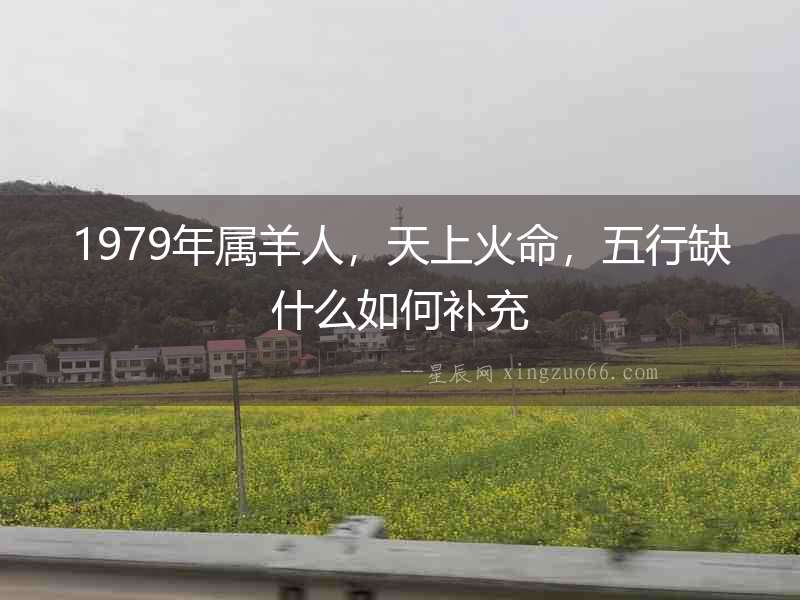 1979年屬羊人，天上火命，五行缺什么如何補(bǔ)充