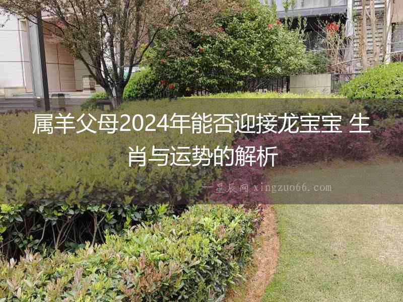 屬羊父母2024年能否迎接龍寶寶 生肖與運(yùn)勢(shì)的解析