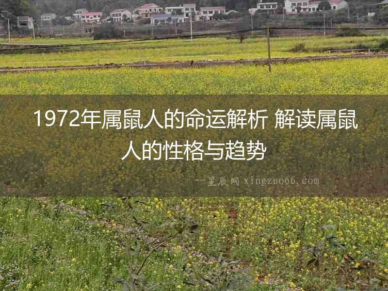 1972年屬鼠人的命運解析 解讀屬鼠人的性格與趨勢