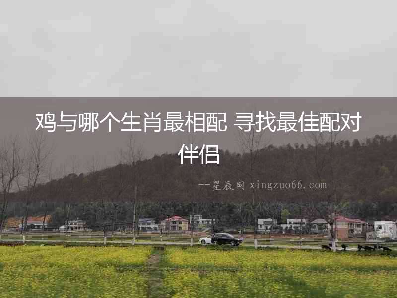 雞與哪個(gè)生肖最相配 尋找最佳配對(duì)伴侶