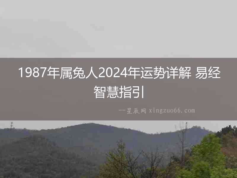 1987年屬兔人2024年運勢詳解 易經智慧指引