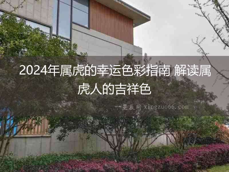 2024年屬虎的幸運色彩指南 解讀屬虎人的吉祥色