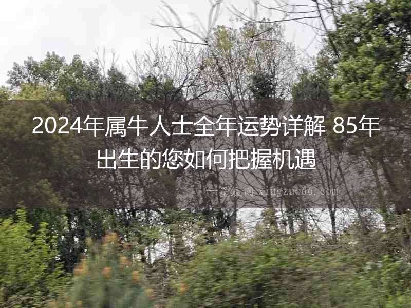 2024年屬牛人士全年運勢詳解 85年出生的您如何把握機遇