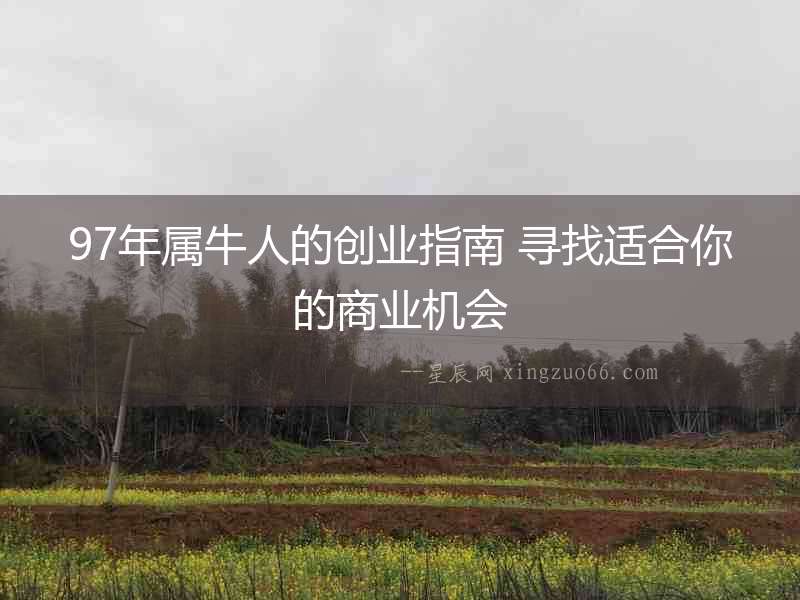 97年屬牛人的創業指南 尋找適合你的商業機會