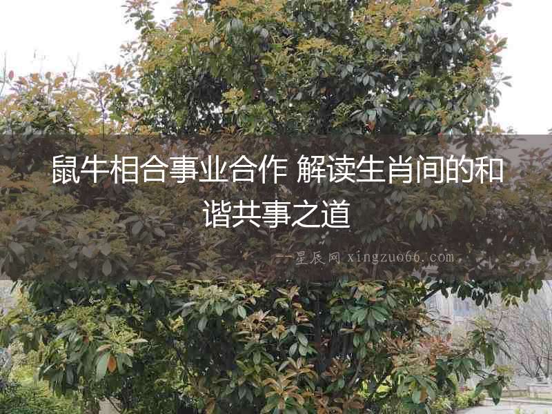 鼠牛相合事業合作 解讀生肖間的和諧共事之道