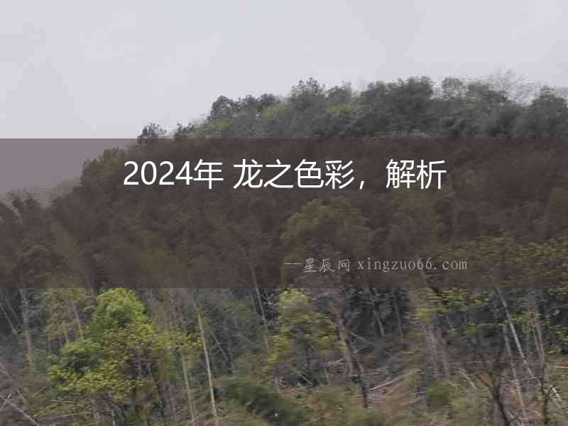 2024年 龍之色彩，解析