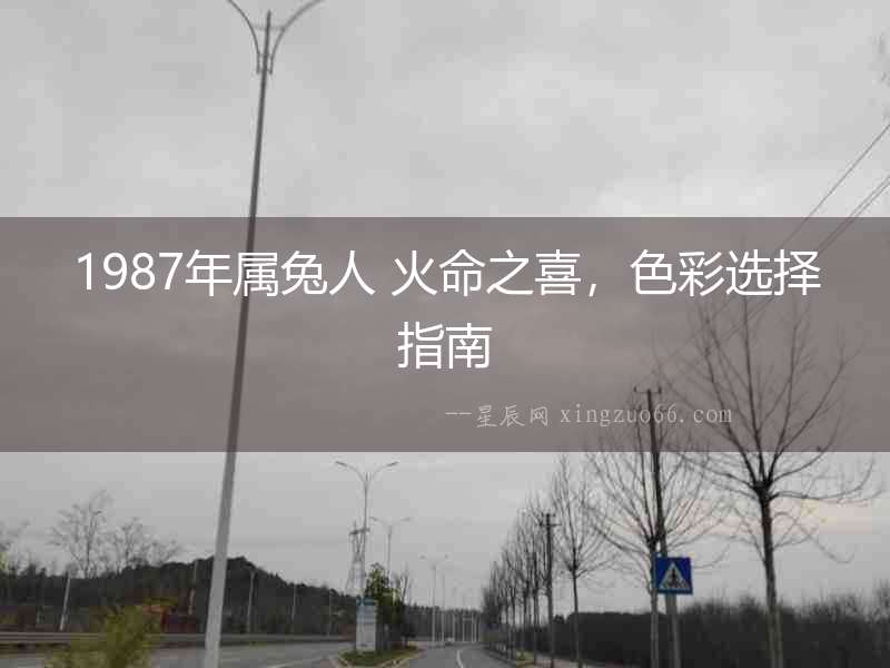 1987年屬兔人 火命之喜，色彩選擇指南