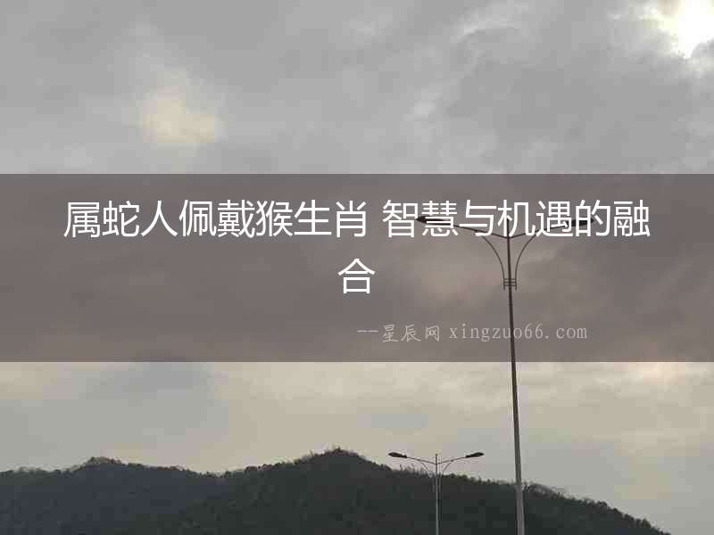 屬蛇人佩戴猴生肖 智慧與機遇的融合