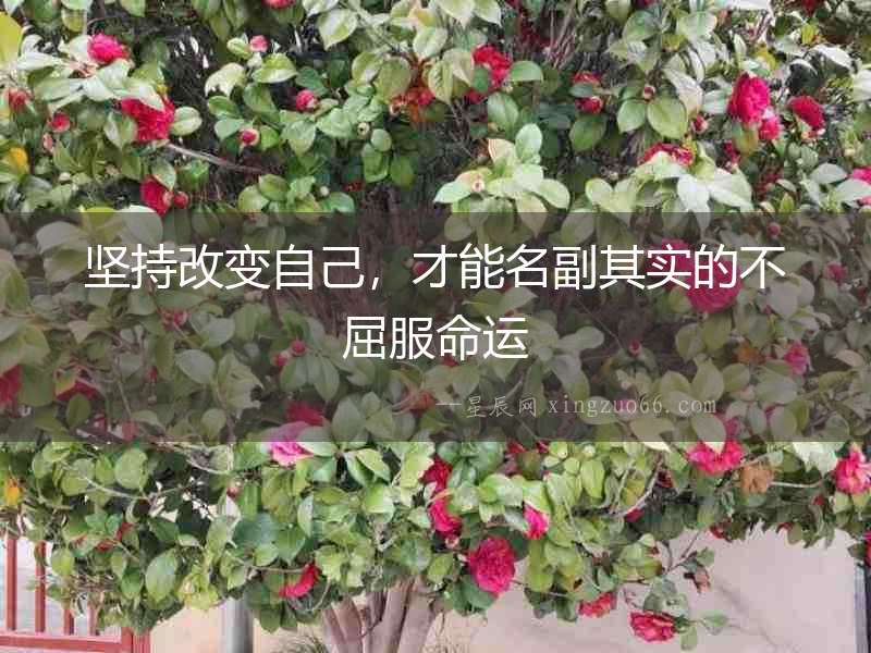 堅持改變自己，才能名副其實的不屈服命運