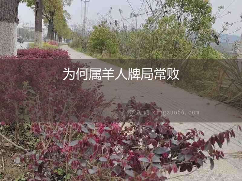為何屬羊人牌局常敗