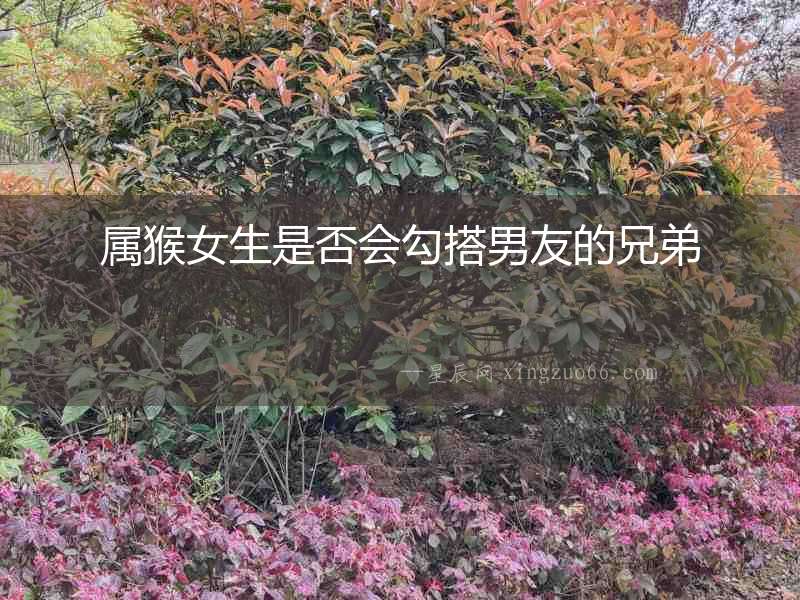屬猴女生是否會勾搭男友的兄弟