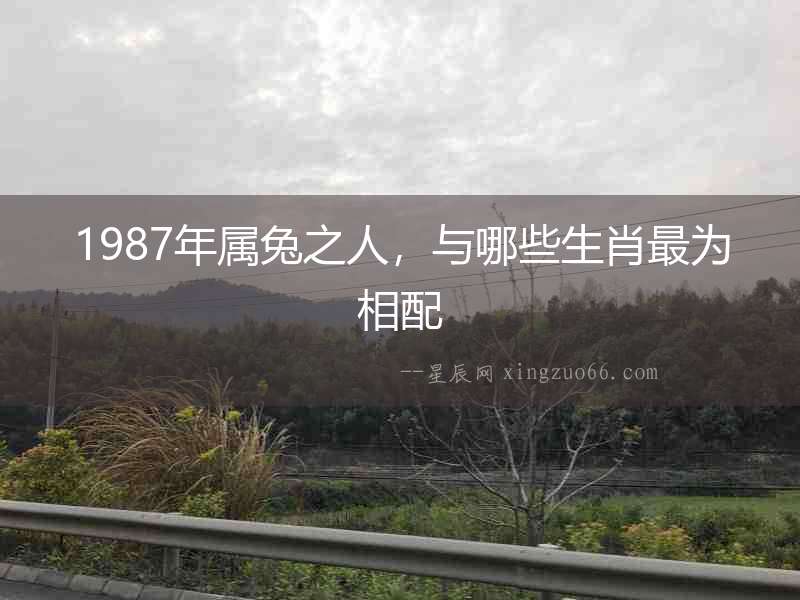 1987年屬兔之人，與哪些生肖最為相配
