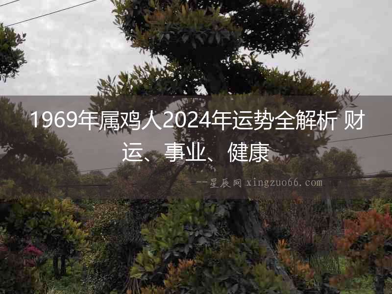 1969年屬雞人2024年運勢全解析 財運、事業、健康