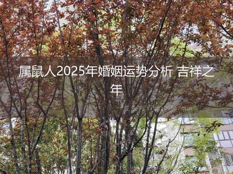 屬鼠人2025年婚姻運勢分析 吉祥之年