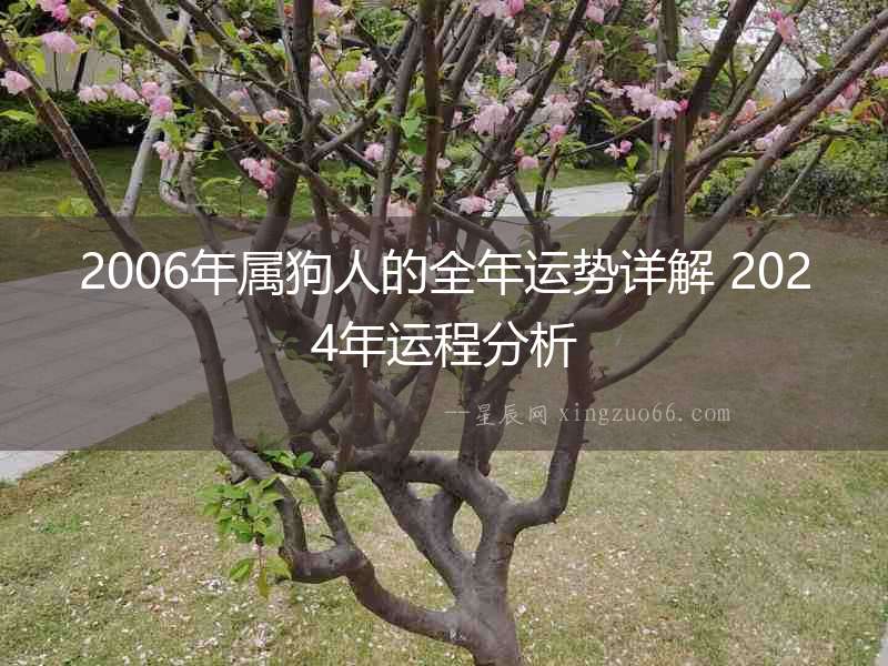 2006年屬狗人的全年運勢詳解 2024年運程分析