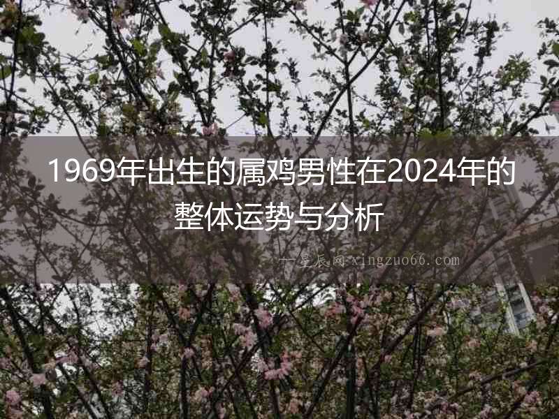 1969年出生的屬雞男性在2024年的整體運勢與分析