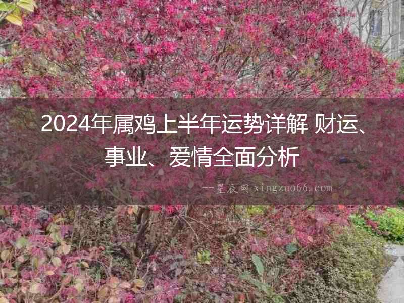 2024年屬雞上半年運勢詳解 財運、事業、愛情全面分析