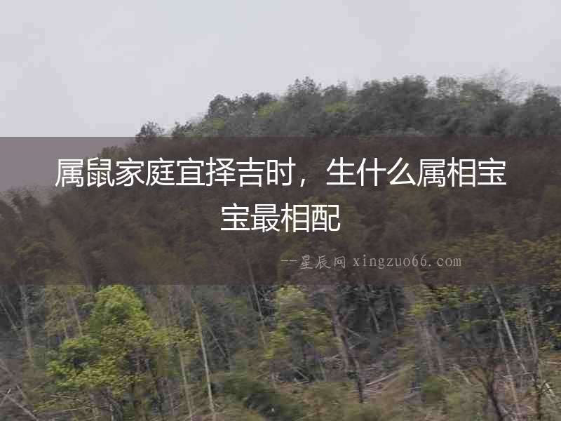 屬鼠家庭宜擇吉時，生什么屬相寶寶最相配
