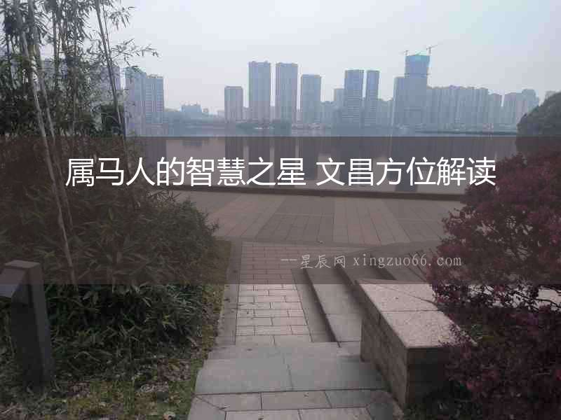 屬馬人的智慧之星 文昌方位解讀