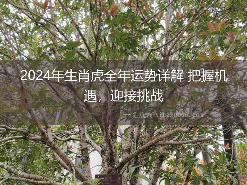 2024年生肖虎全年運勢詳解 把握機遇，迎接挑戰