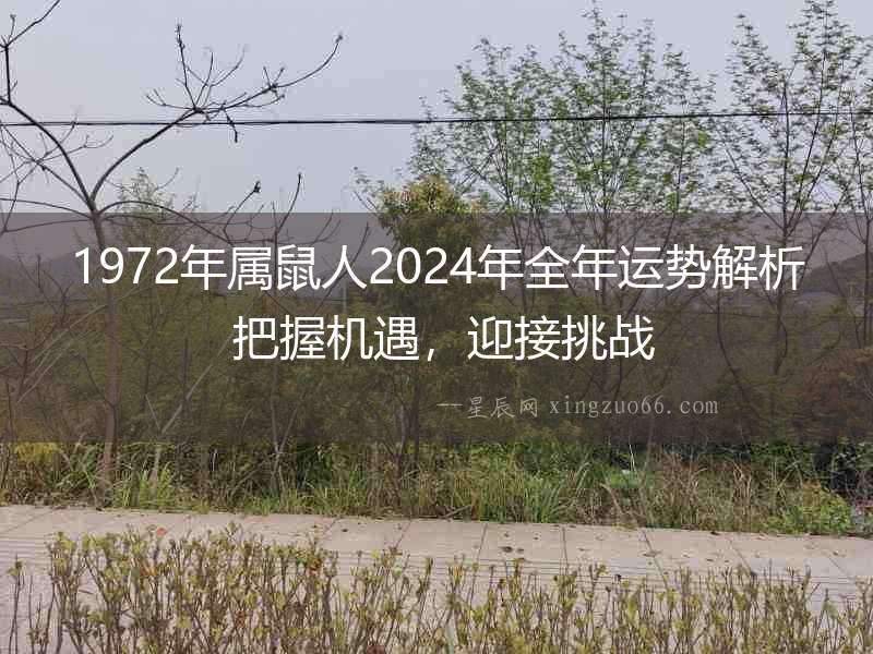 1972年屬鼠人2024年全年運勢解析 把握機遇，迎接挑戰