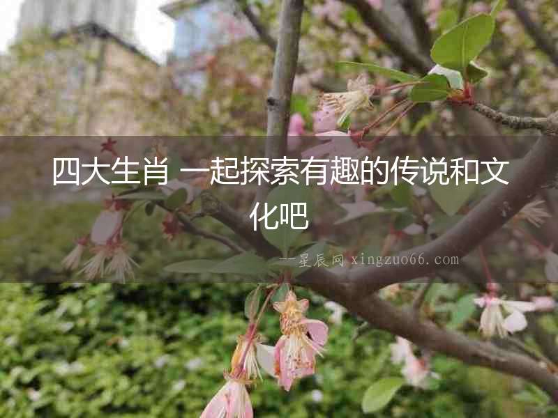 四大生肖 一起探索有趣的傳說和文化吧