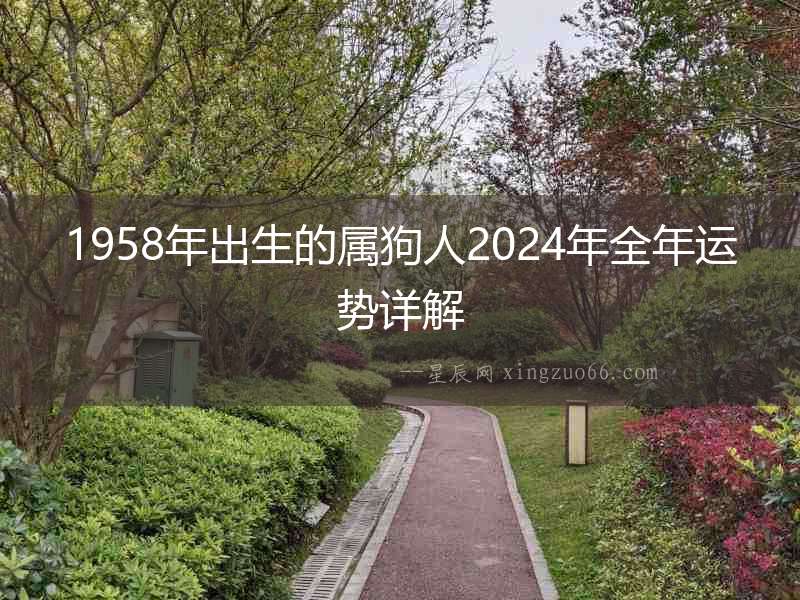 1958年出生的屬狗人2024年全年運(yùn)勢(shì)詳解