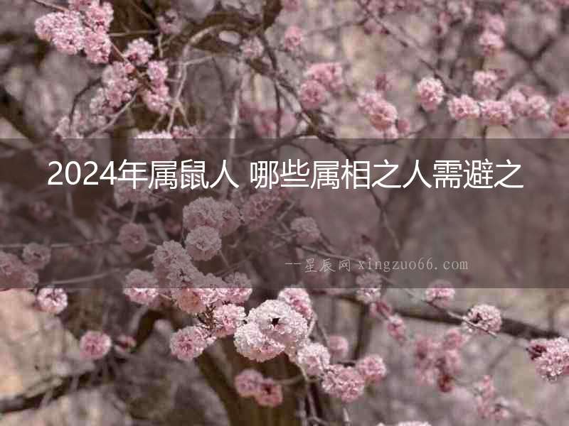 2024年屬鼠人 哪些屬相之人需避之