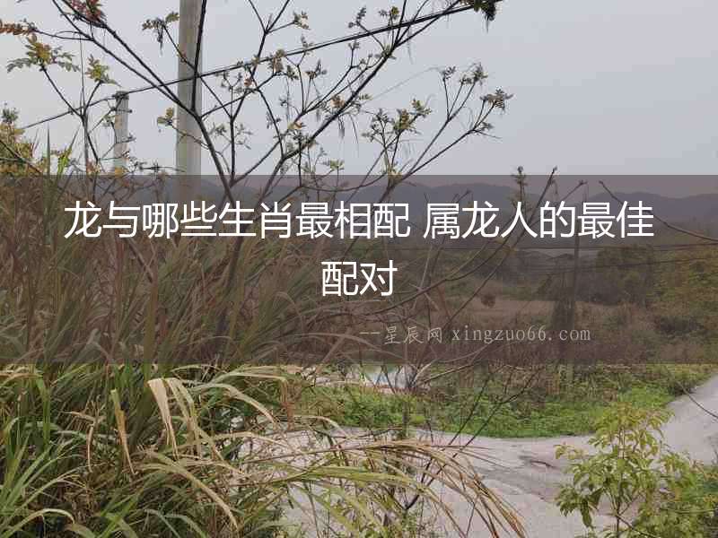 龍與哪些生肖最相配 屬龍人的最佳配對