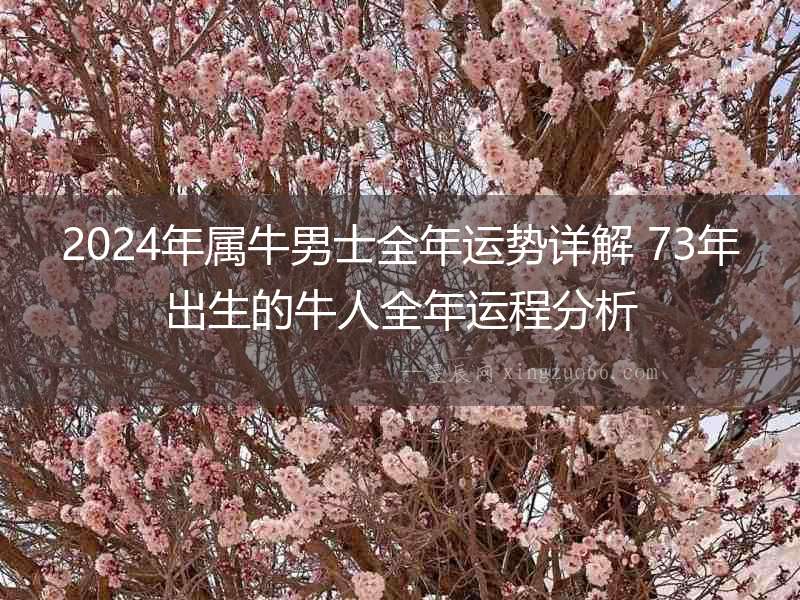 2024年屬牛男士全年運勢詳解 73年出生的牛人全年運程分析