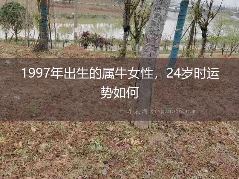 1997年出生的屬牛女性，24歲時運勢如何