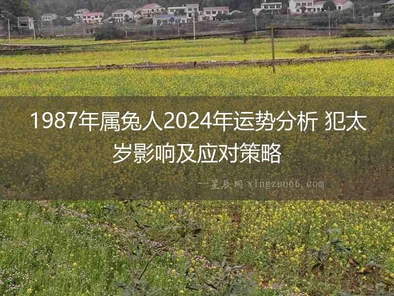 1987年屬兔人2024年運勢分析 犯太歲影響及應對策略