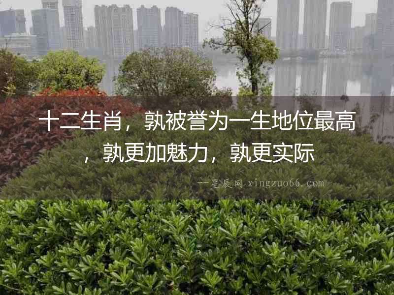 十二生肖，孰被譽為一生地位最高，孰更加魅力，孰更實際