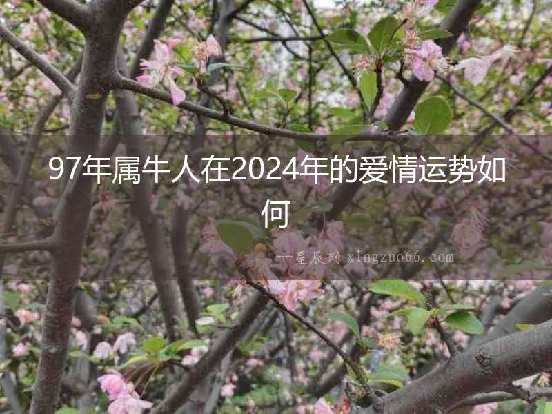 97年屬牛人在2024年的愛情運(yùn)勢如何
