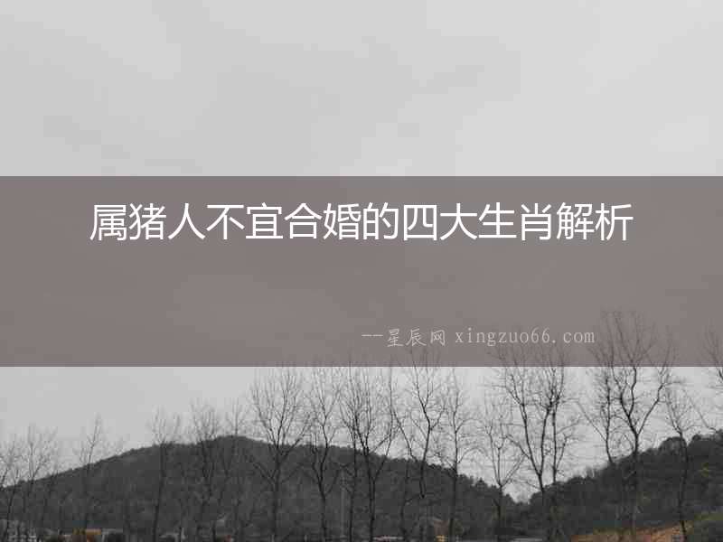 屬豬人不宜合婚的四大生肖解析