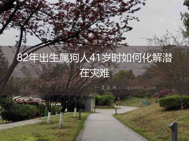 82年出生屬狗人41歲時如何化解潛在災難