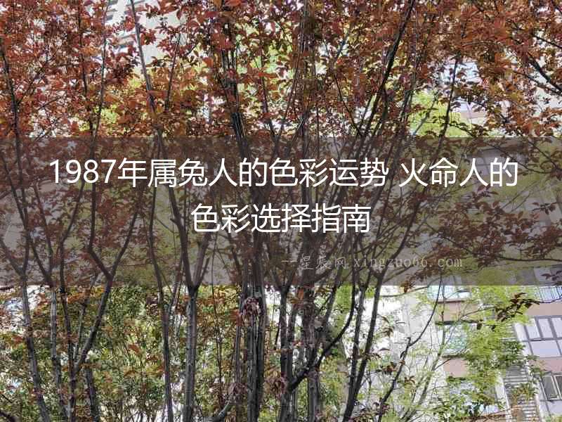 1987年屬兔人的色彩運勢 火命人的色彩選擇指南