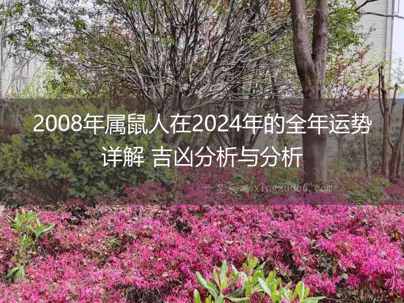 2008年屬鼠人在2024年的全年運勢詳解 吉兇分析與分析