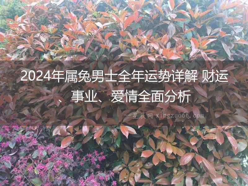 2024年屬兔男士全年運勢詳解 財運、事業(yè)、愛情全面分析