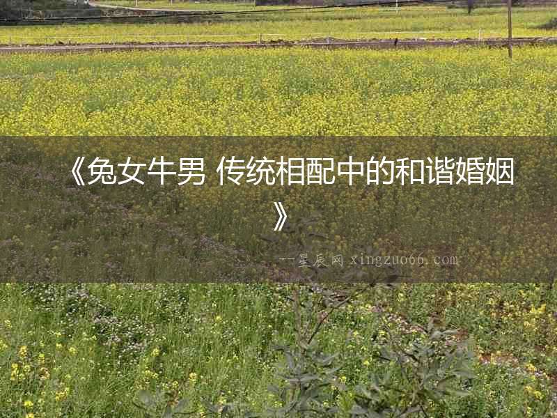 《兔女牛男 傳統相配中的和諧婚姻》