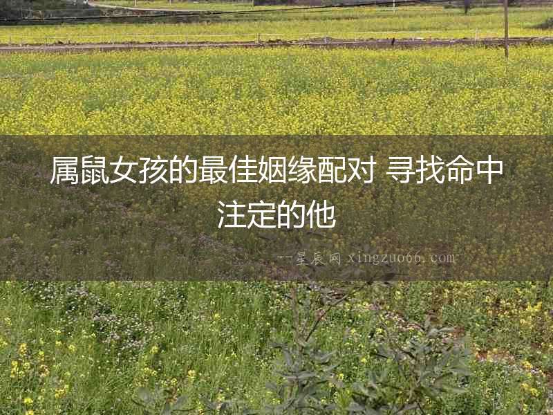 屬鼠女孩的最佳姻緣配對 尋找命中注定的他