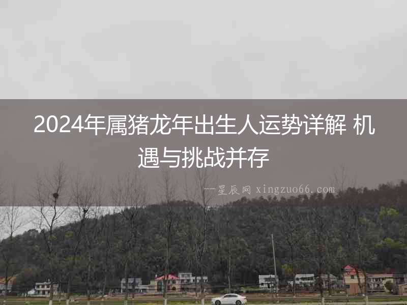 2024年屬豬龍年出生人運勢詳解 機遇與挑戰并存