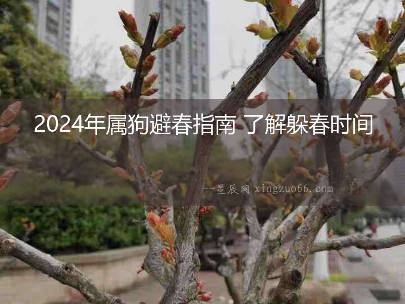 2024年屬狗避春指南 了解躲春時(shí)間
