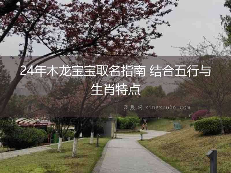 24年木龍寶寶取名指南 結合五行與生肖特點