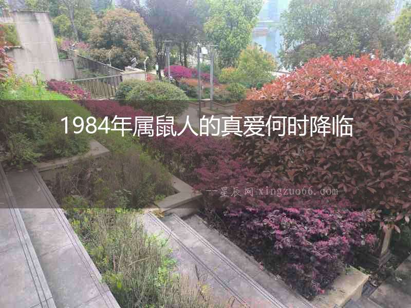 1984年屬鼠人的真愛(ài)何時(shí)降臨