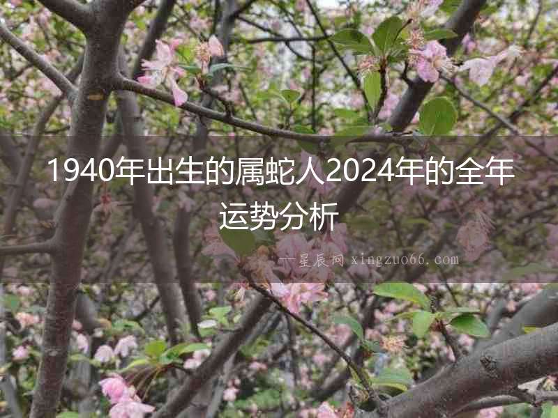 1940年出生的屬蛇人2024年的全年運勢分析